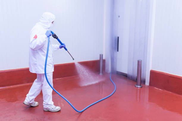 Reliable Galliano, LA Pressure Washing Solutions