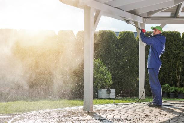 Best Boat and Dock Cleaning  in Galliano, LA