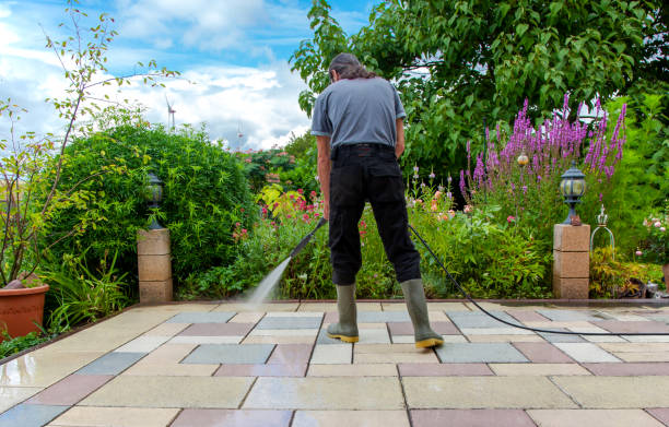Best Winterizing Services  in Galliano, LA